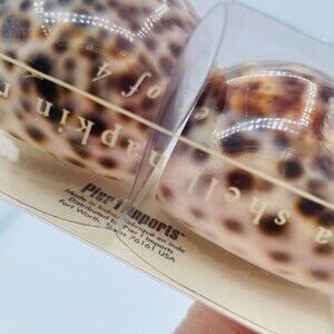 Set of 4 Seashell Napkin Ring Hilders Pier 1 Imports